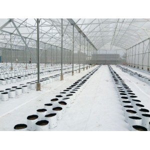 BẠT TRẢI NỀN NHÀ MÀNG BẠT TRẢI NỀN NHÀ MÀNG